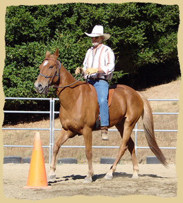 Click to enlarge. Positive reinforcement builds better relationships between horse and rider at the Equine Research Foundation.