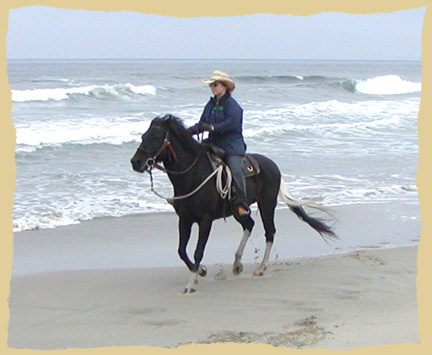 Click to enlarge. Beach ride on horse vacations with the Equine Research Foundation.