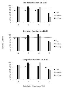 Lateral vision data.