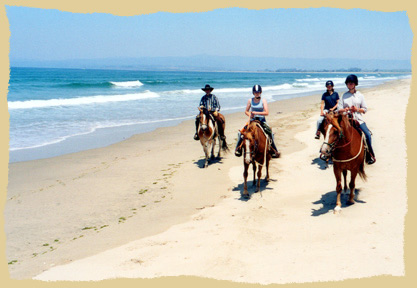 Click to enlarge. Horse riding at the beach on a learning vacation with the Equine Research Foundation.