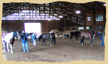 Horse clinic.