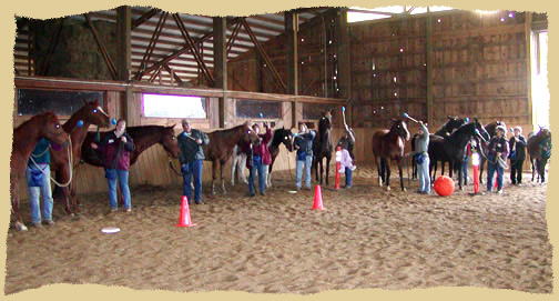 Horse clinic group.