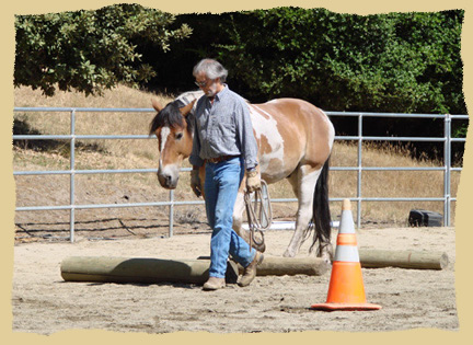Click to enlarge. Good horsemanship starts on the ground.