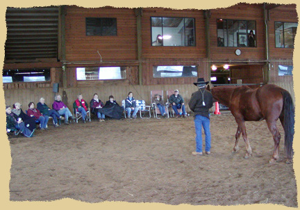 Horse clinic talk.