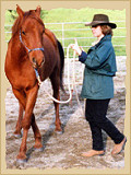 Horsemanship - side pass crop.