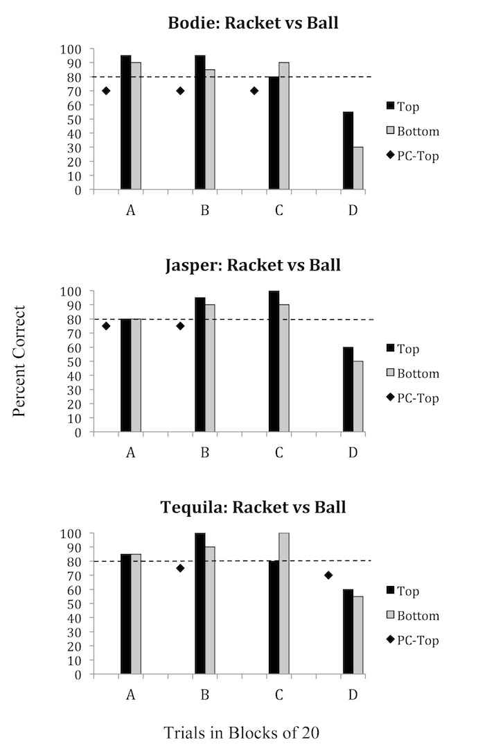 Lateral vision data.