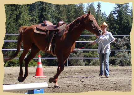 Circling a horse.