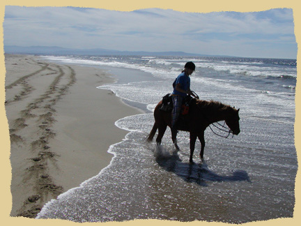 Horseback riding in the surf.