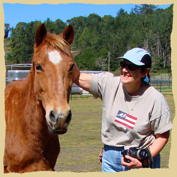 Fun with horses.