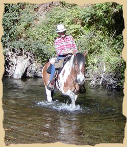 Horse riding by the ocean on the horse vacations with the Equine Research Foundation. Click to enlarge.